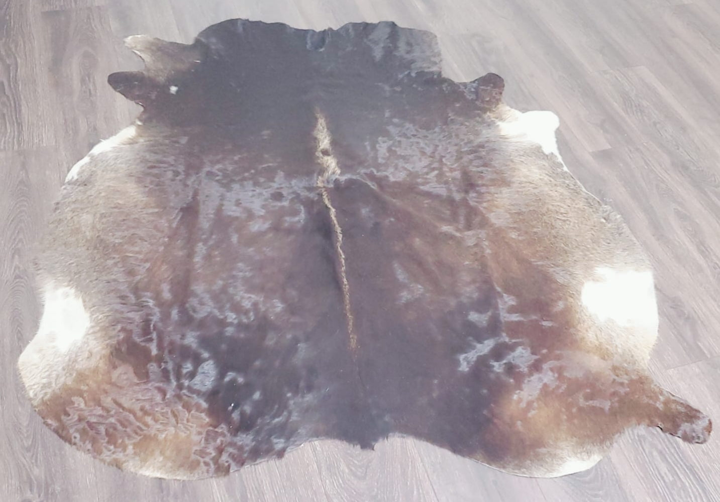Premium Quality Real Tricolor Cowhide Rug Leather/ Cow Skin Area Rug Hair on Leather Hide 5 ft X 5 ft - 25 x 25 sq.ft Approx. (Tricolor 6)
