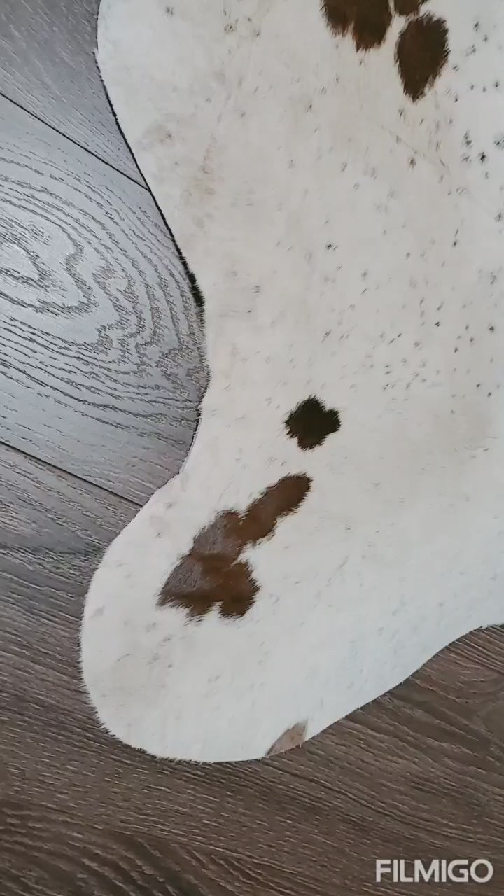 Premium Quality Real Tricolor Cowhide Rug Leather/ Cow Skin Area Rug Hair on Leather Hide 6 ft X 6 ft - 36 x 36 sq.ft Approx. (Tricolor 15)